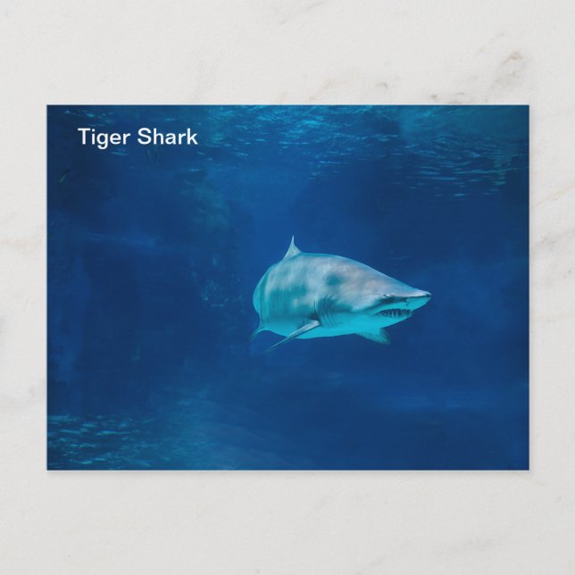 Postkarte (Vorderseite)