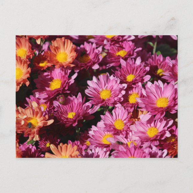 Postkarte (Vorderseite)
