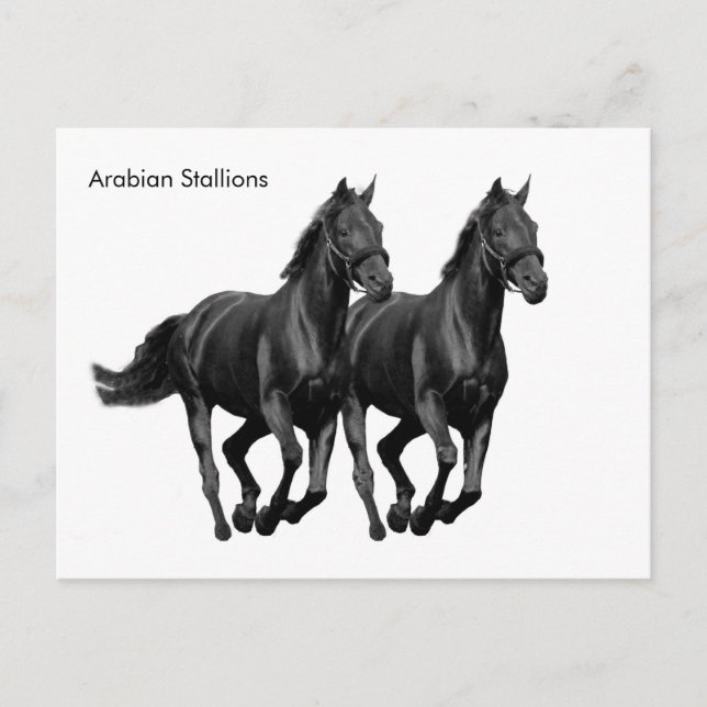 Postkarte (Vorderseite)