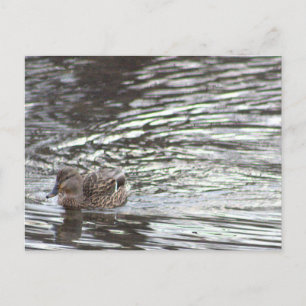 Postkarte