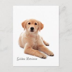 Postkarte