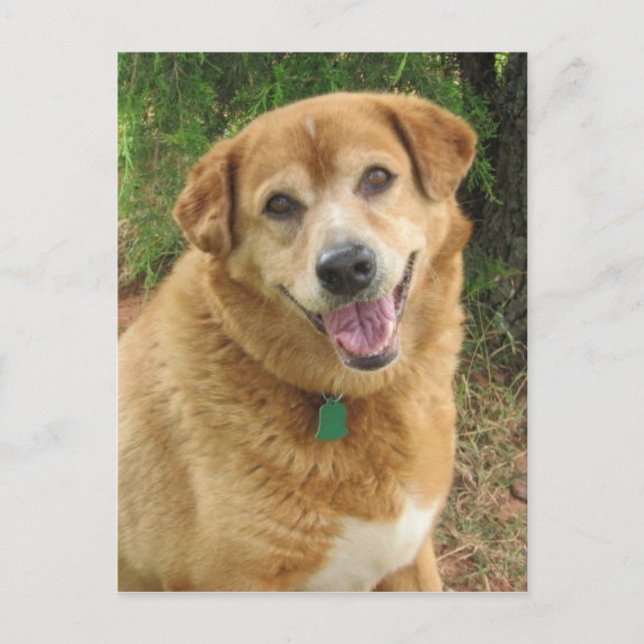  POSTKARTE (Vorderseite)