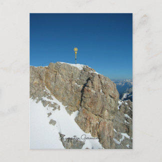 Postkarte