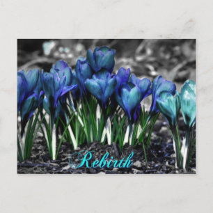 POSTKARTE