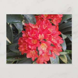 Postkarte