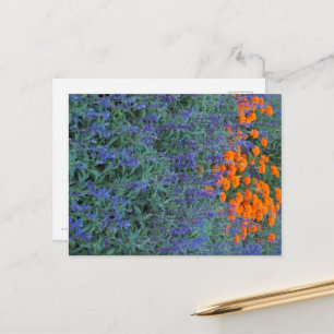 POSTKARTE