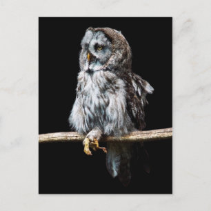 Postkarte