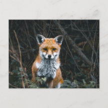 Postkarte