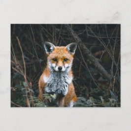 Postkarte