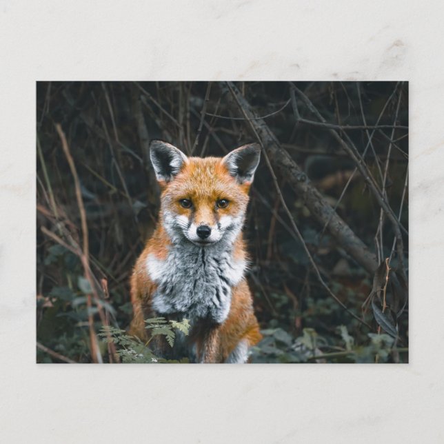 Postkarte (Vorderseite)