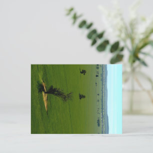 Postkarte