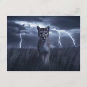  POSTKARTE