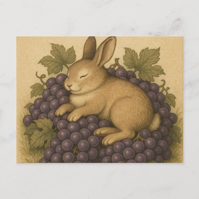 Postkarte (Vorderseite)