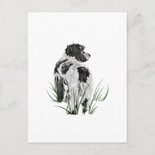  POSTKARTE