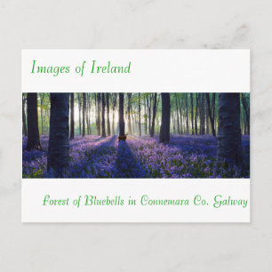 Postkarte