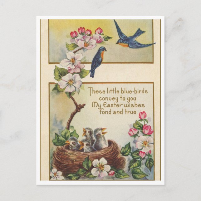 Postkarte (Vorderseite)