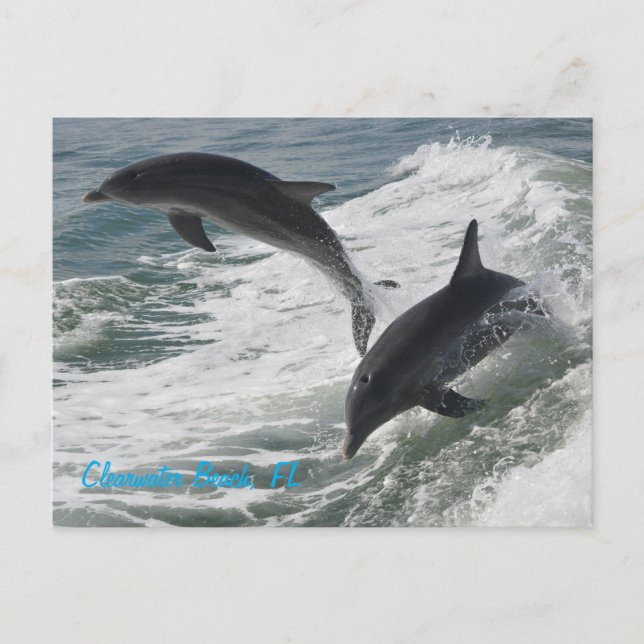 Postkarte (Vorderseite)
