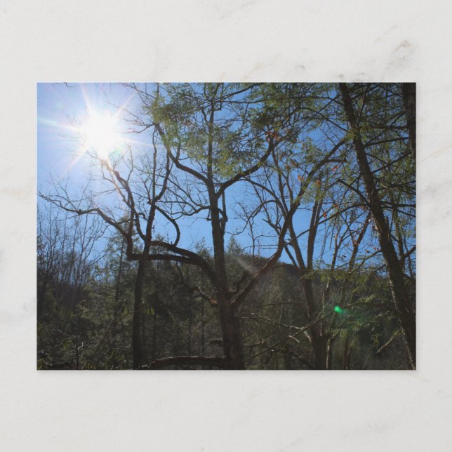 Postkarte (Vorderseite)