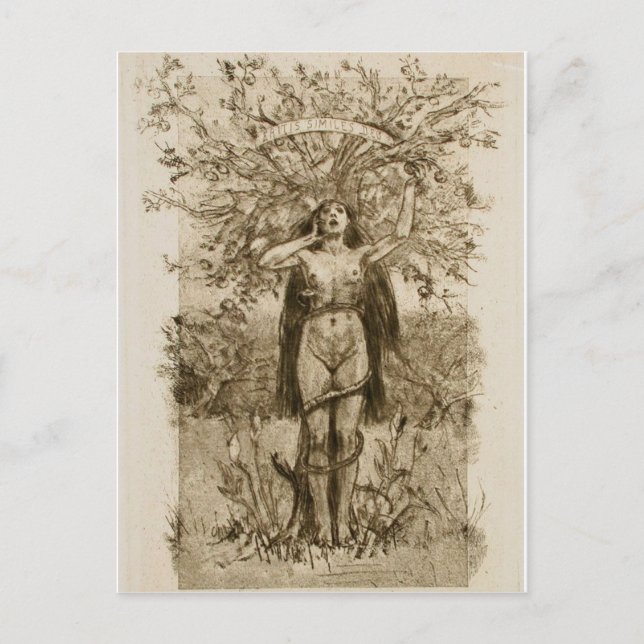 Postkarte (Vorderseite)