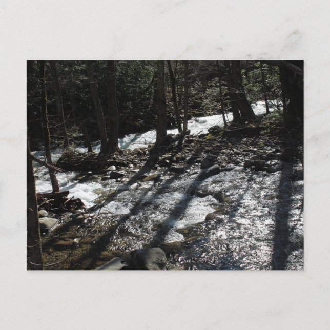 Postkarte (Vorderseite)