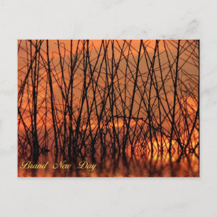 Postkarte