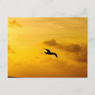 Postkarte