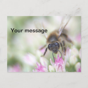 Postkarte