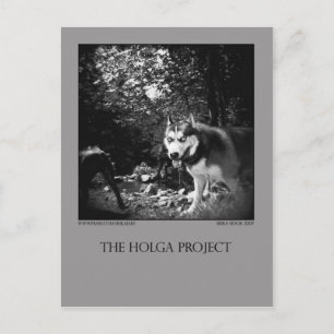 Postkarte 10