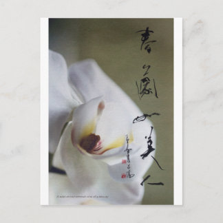Postkarte 4