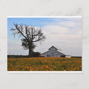 Postkarte, alte Scheune Postkarte