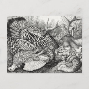 Postkarte "American Forest Game"