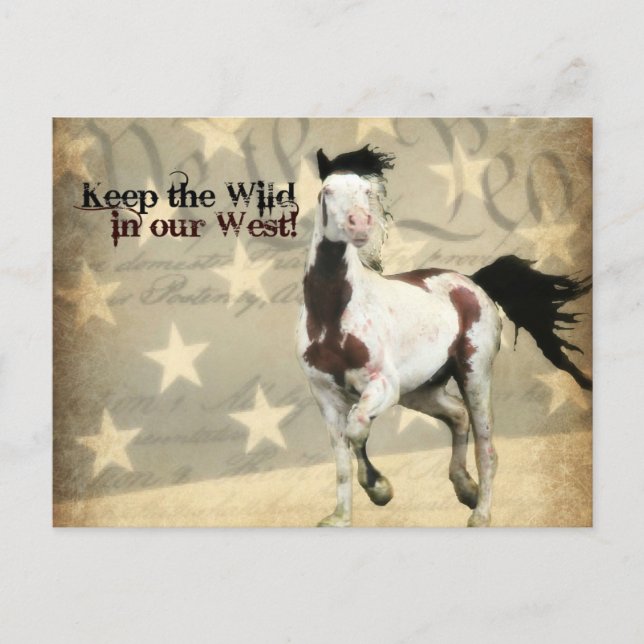 Postkarte an das Innenministerium (Vorderseite)