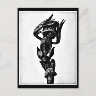 Postkarte-Antike Fotografie-Karl Blossfeldt 24 Postkarte