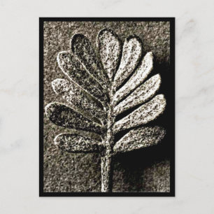 Postkarte-Antike Fotografie-Karl Blossfeldt 41 Postkarte