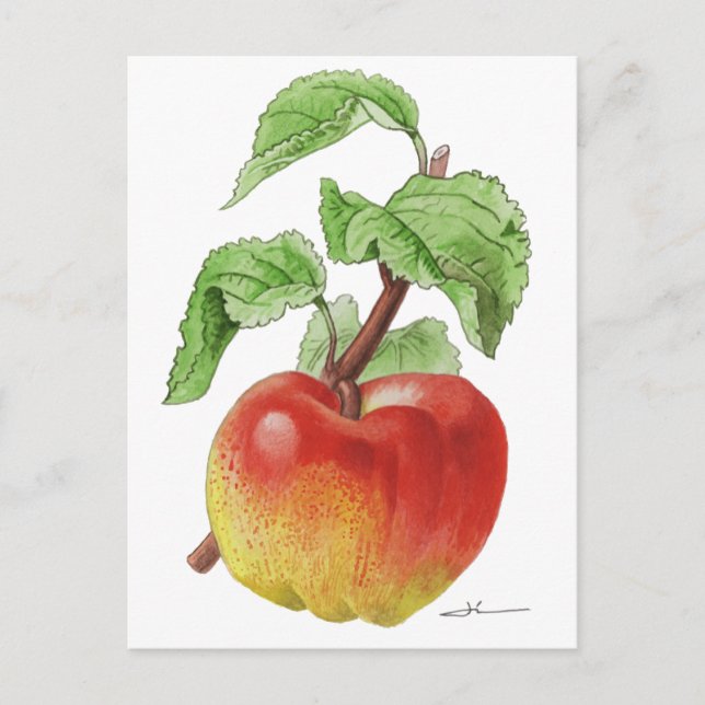Postkarte "Apfel Jeanne Hardy" (Vorderseite)