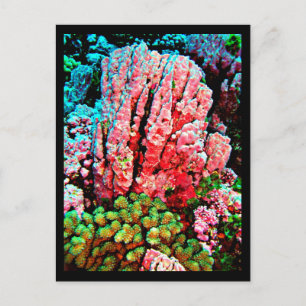 Postkarte: Aquatische Galerie-7 Postkarte