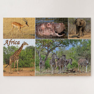 Postkarte aus Afrika