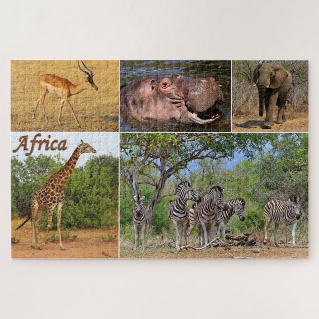 Postkarte aus Afrika (Horizontal)