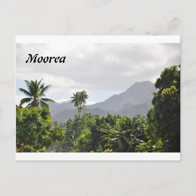Postkarte aus Moorea, Französisch-Polynesien (Vorderseite)
