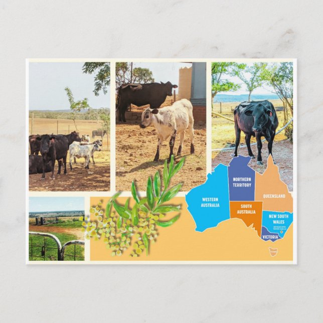 Postkarte Australien (Vorderseite)