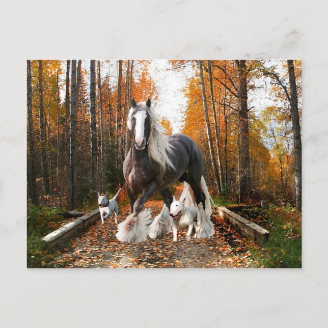 Postkarte "Backroads Ramble" (Vorderseite)
