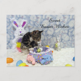 Postkarte Bandit's Oster (3421)