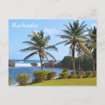Postkarte, Barbados, Beach Szene, Palmen