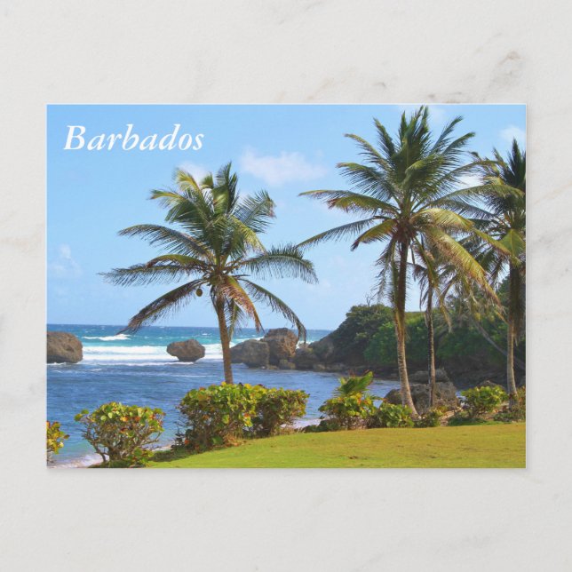 Postkarte, Barbados, Beach Szene, Palmen Postkarte (Vorderseite)