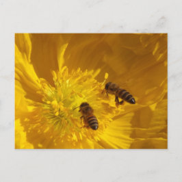 Postkarte Bienen