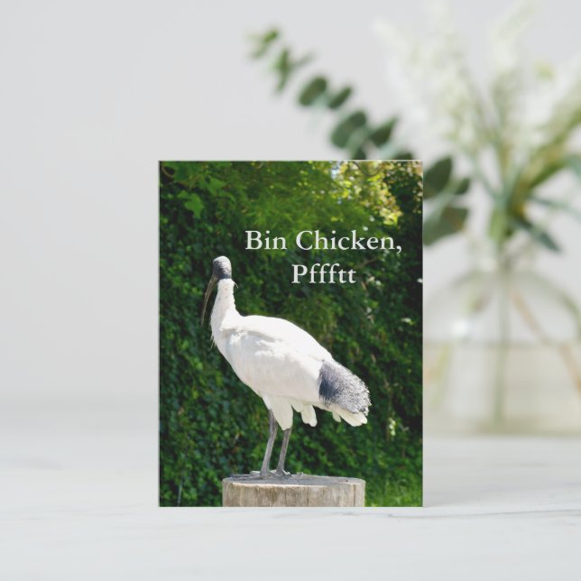 Postkarte Bin Chicken Pfftt (Ibis) (Stehend Vorderseite)