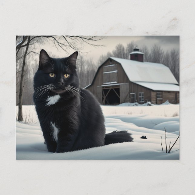 Postkarte Black Cat Reihe 2 02 (Vorderseite)