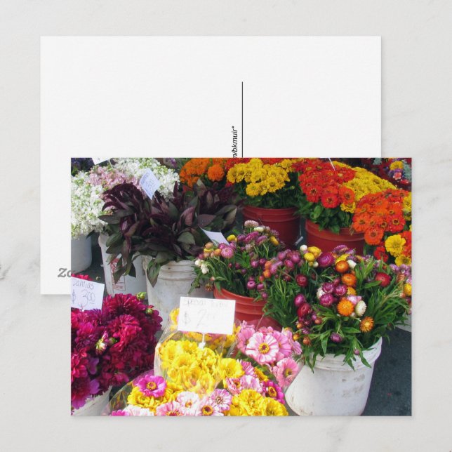 Postkarte - Blume (Vorne/Hinten)
