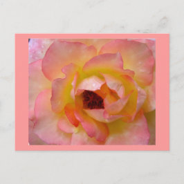 Postkarte-Blume-10 Postkarte