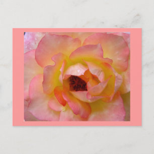 Postkarte-Blume-10 Postkarte